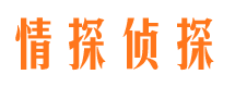 武宁市婚外情调查